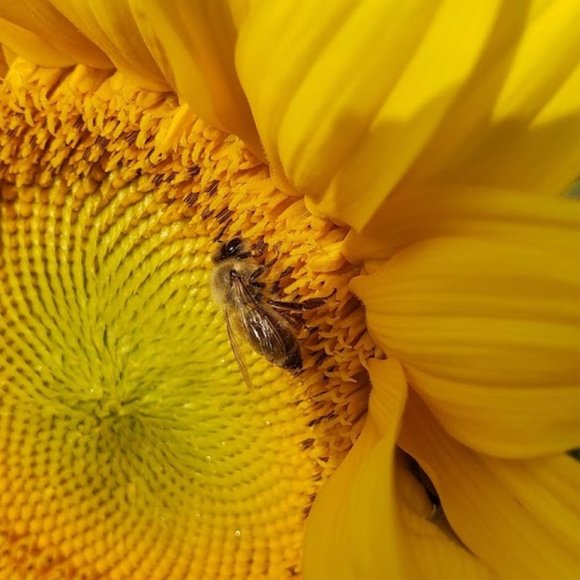 Meet your Posher, Zey - Picture 10 of 10